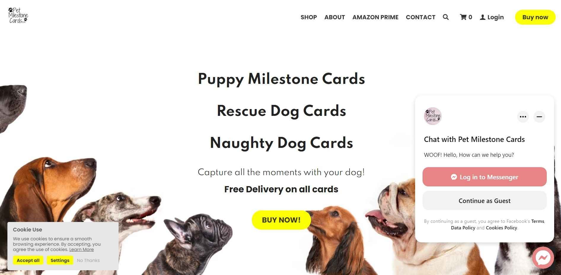 Pet Milestone Cards Strikingly Site Pet Milestone Cards Strikingly Site